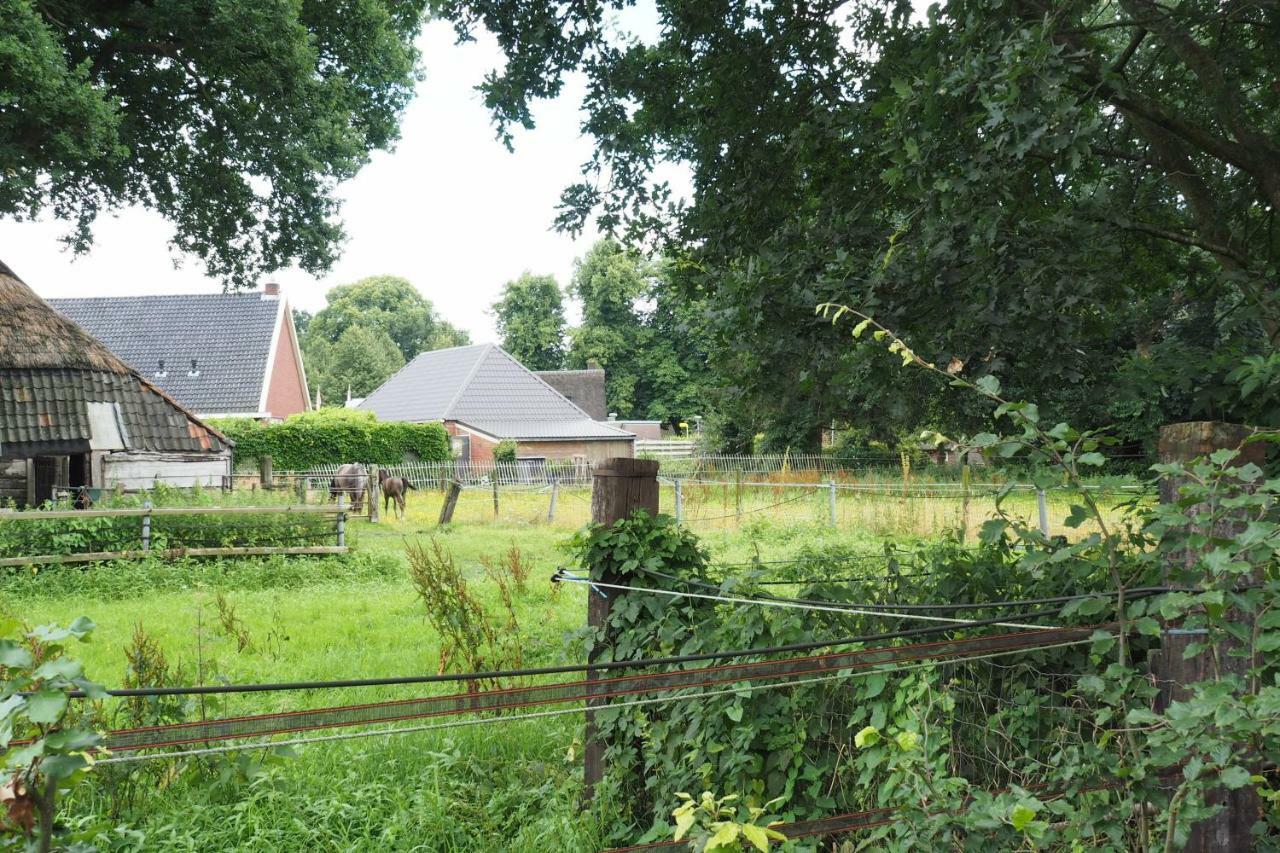 Het Centrum 诺格 外观 照片